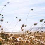 Les plus belles plages naturistes de la Côte d’Azur