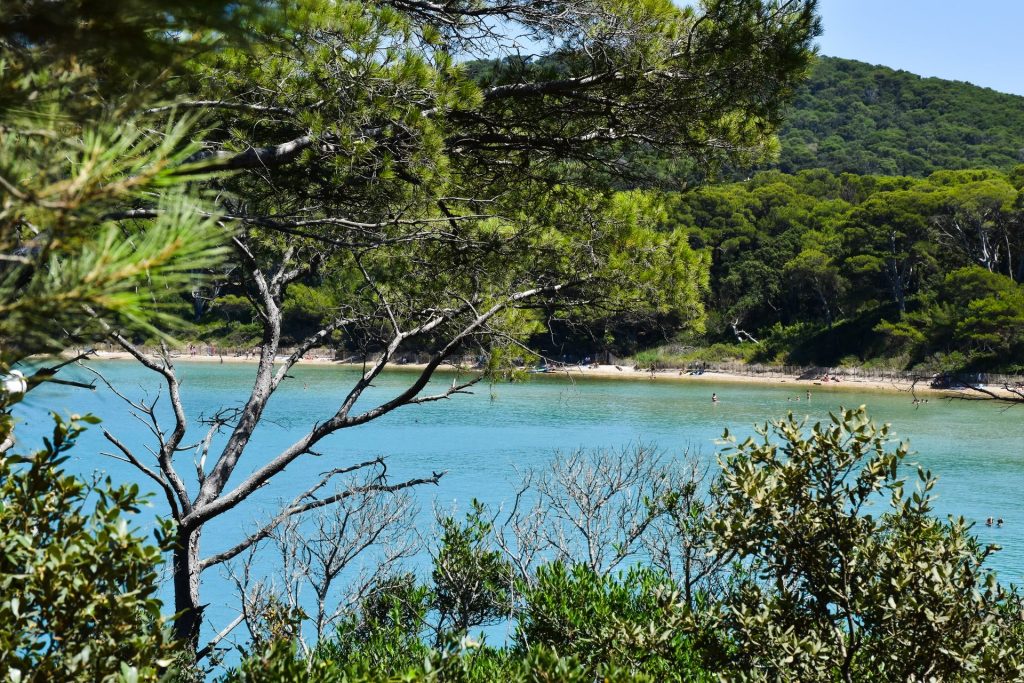 Porquerolles, Port-Cros et les Îles d’Or : le guide pratique